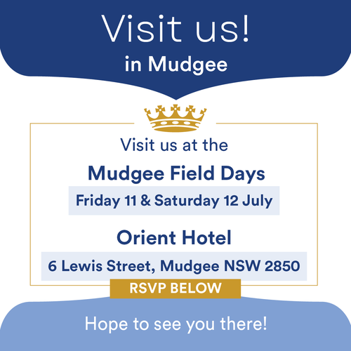Mudgee invite-side ad.png